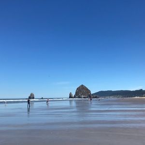 Meet your Posher, Daphna